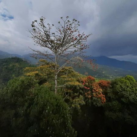 Palmtree Leaf, Munnar Hotel Exterior photo